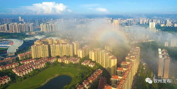 欽州發(fā)文加強房地產(chǎn)市場調(diào)控，促進房地產(chǎn)開發(fā)行業(yè)健康發(fā)展
